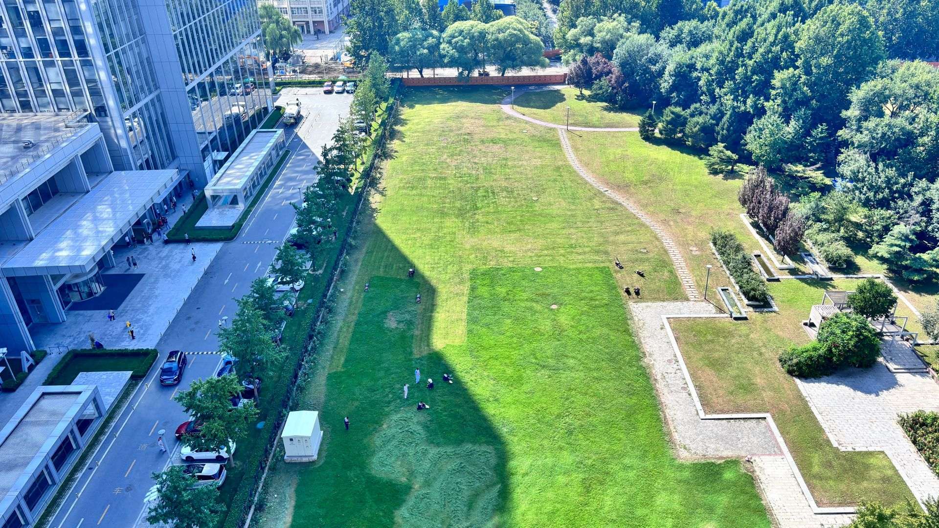 西侧草坪窗景